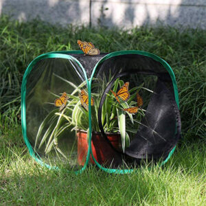 Butterfly Terrarium Cage